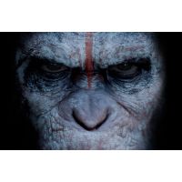 Фильм Планета обезьян: Революция (фантастика, 2014)