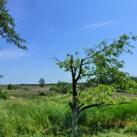 Фото пользователя